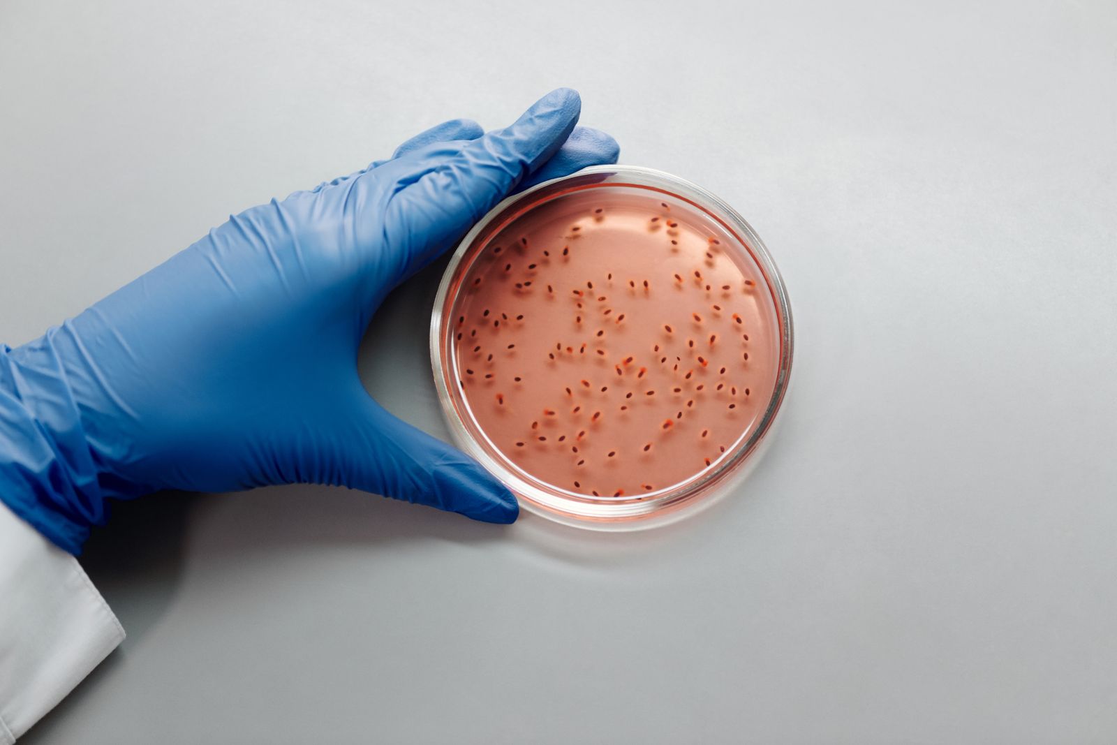 microbiology expert witness