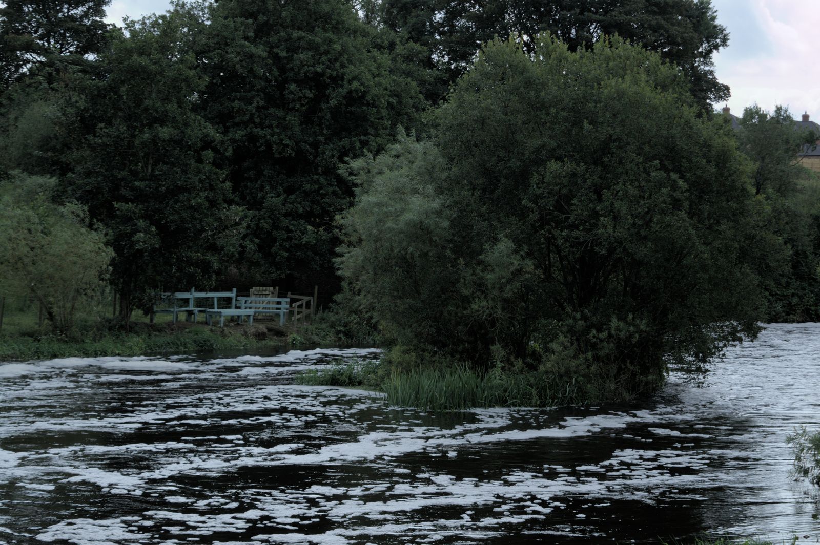 Riverside landscape in Lisburn