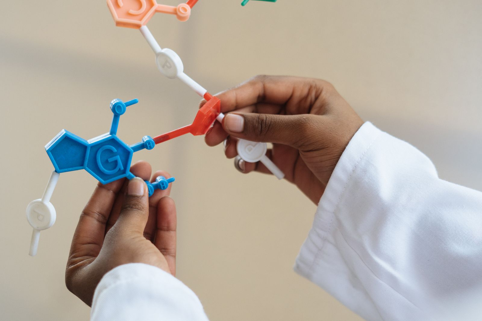 Scientist handling a molecular model in a laboratory, the science genetics expert witnesses explain